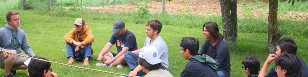 Banner 5